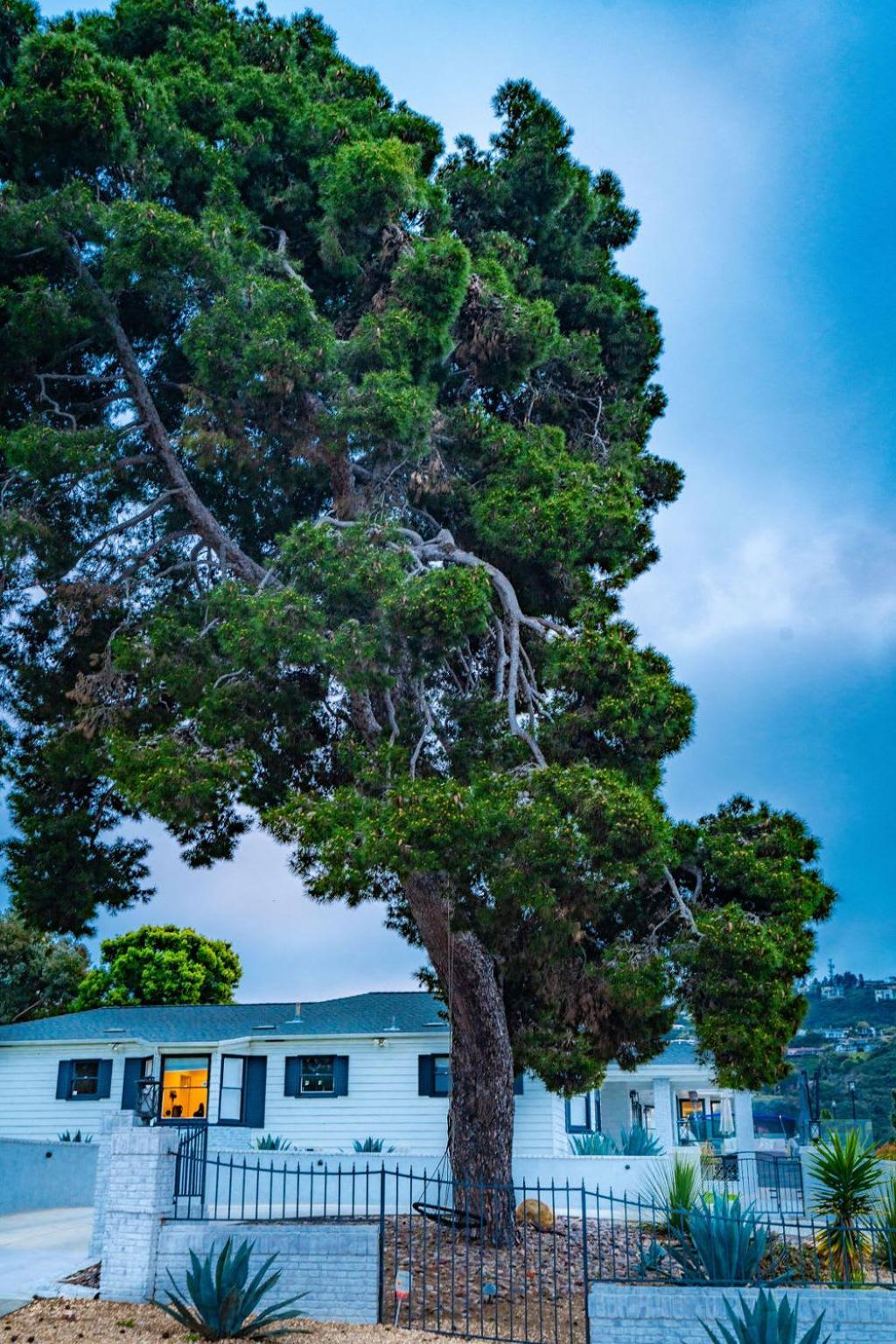 Сasa de vacaciones Walk To Stunning Views La Jolla Shores *