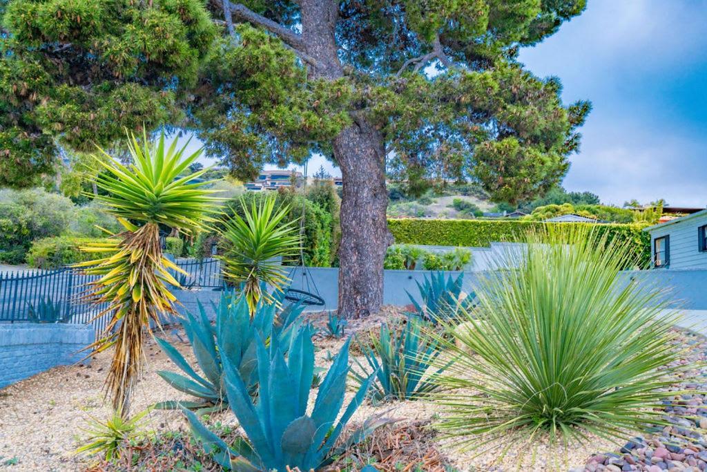 Holiday home Walk To Stunning Views La Jolla Shores San Diego